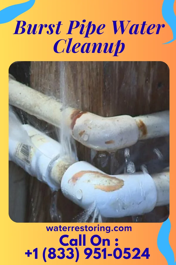 Burst Pipe Water Cleanup in Factoryville, PA