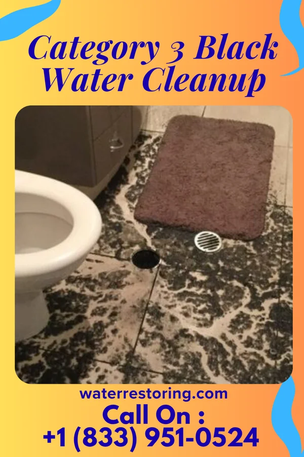 Category 3 Black Water Cleanup in Factoryville, PA