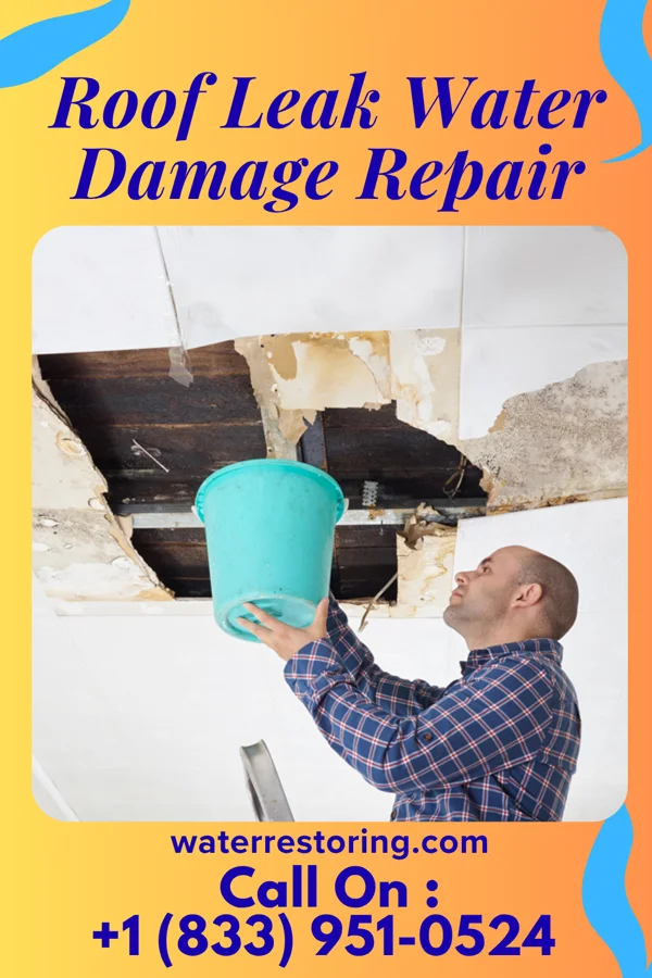 Roof Leak Water Damage Repair in Factoryville, PA