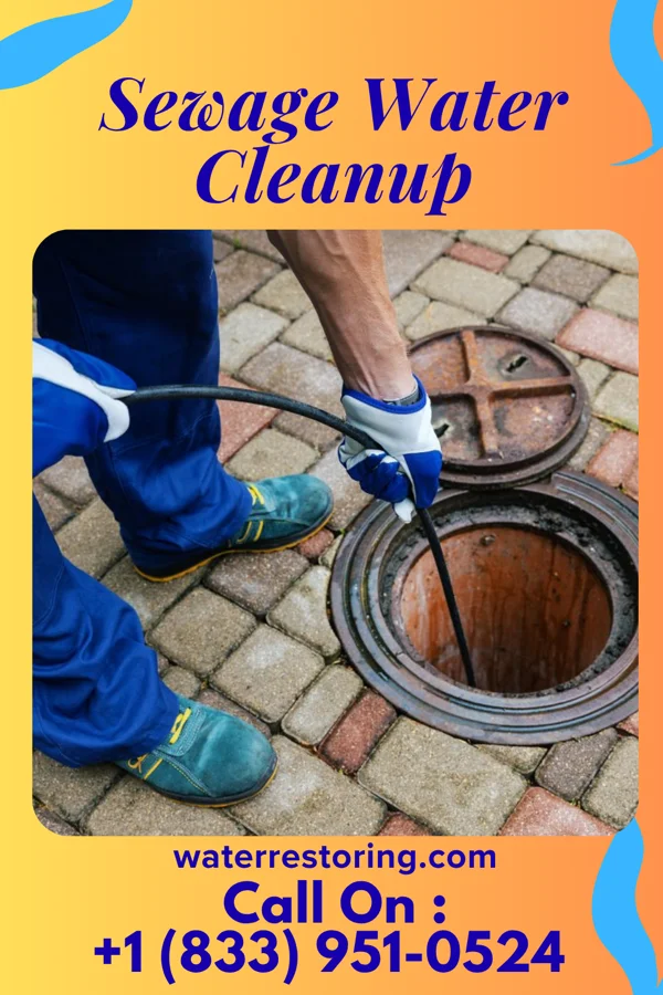 Sewage Water Cleanup in Factoryville, PA