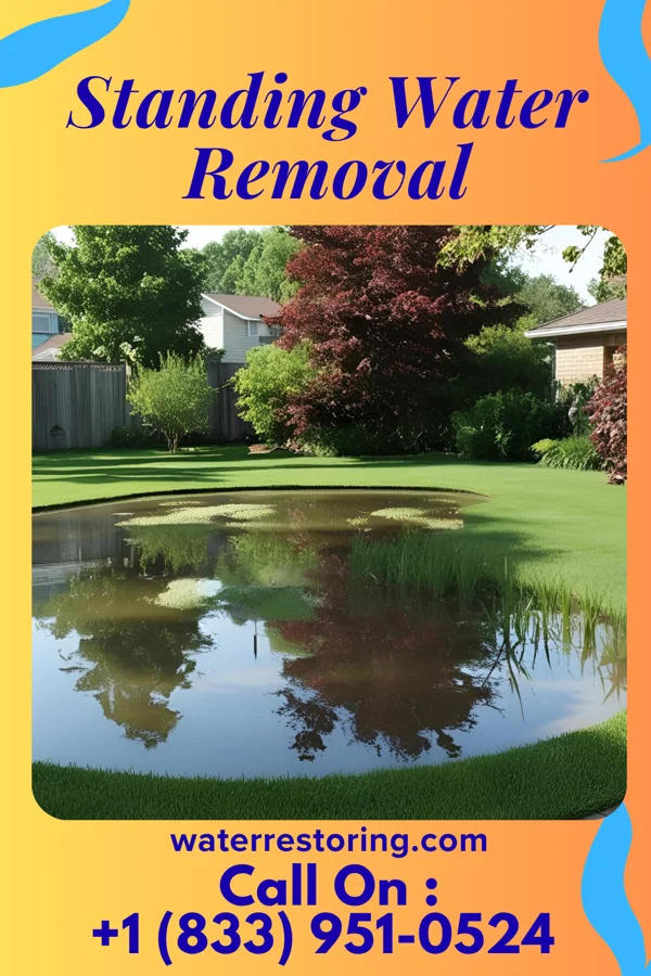 Standing Water Removal in Factoryville, PA